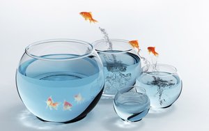 深入浅出聊聊视频会议